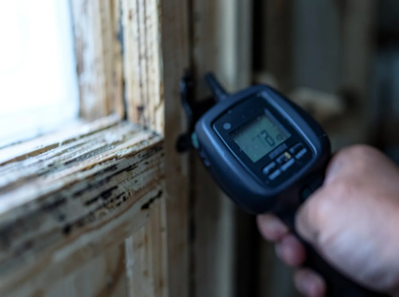 Ceiling Water Damage Repair in Belle Plaine, KS